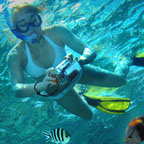 CATERS FOR FIRST TIME SNORKELLERS