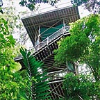 RAINFOREST CANOPY TOWER