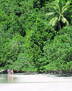 CAPE TRIB BEACH