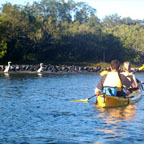 NOOSA RIVER