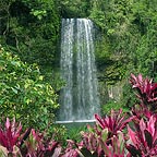 BEAUTIFUL MILLAA MILLAA FALLS