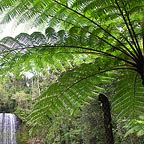 SCENIC TABLELANDS