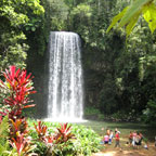 MILLAA MILLAA FALLS