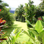 20 ACRES OF TROPICAL GARDENS