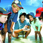 Heron Island Resort