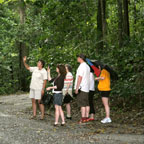 RAINFOREST AT EMMAGEN VALLEY