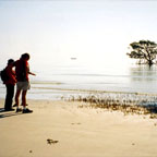 WALK ON REMOTE COWERY BEACH