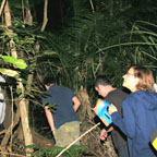 REAL RAINFOREST EXPERIENCE