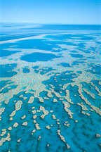 VARIETY OF GREAT BARRIER REEF TOURS