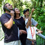 EXPLORE RAINFOREST WILDERNESS