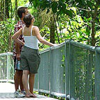 ELEVATED WALKWAY