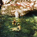 SWIM IN MYALL CREEK