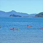 VIEW MARINE LIFE ALONG THE WAY!