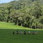 PICTURESQUE WHYANBEEL VALLEY