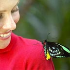 WEAR RED PINK OR WHITE TO ATTRACT THE BUTTERFLIES!