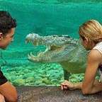 CAIRNS WILDLIFE DOME