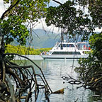 CALM WATER CRUISE