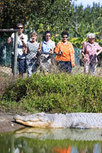CAIRNS CROCODILE FARM