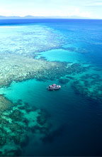 VISIT 2 REEF LOCATIONS