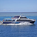 BRAND NEW PURE DIVE