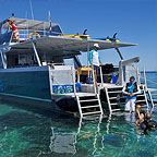 SPECIALISED SNORKEL TRIPS