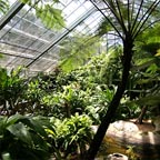AUSTRALIAN BUTTERFLY SANCTUARY