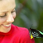 WEAR A RED OR WHITE SIRT TO ATTRACT THE BUTTERFLIES