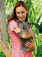 CUDDLE A KOALA
