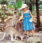 HAND FEED KANGAROOS