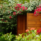 AWARD WINNING GARDENS