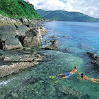 SNORKEL OFF THE BEACH