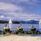 EASILY ACCESSIBLE FROM SHUTE HARBOUR