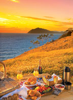 PICNIC AT THE LOOKOUT
