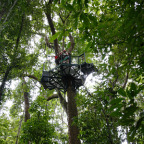 FIVE TREE PLATFORMS