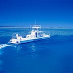 FREE SEMI SUB TOUR