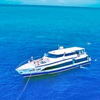CRUISE THE REEF