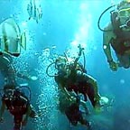 INCLUDES INTRO OR CERTIFIED DIVE