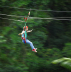 JUNGLE CANOPY SURFING