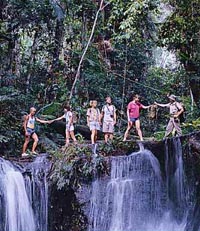 Hertiage Listed Rainforest