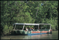 Daintree River Cruise
