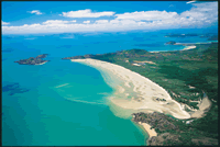 Where the Reef meets the Rainforest