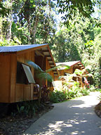 Cape Trib Beach House accommodation