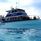 CALYPSO MISSION BEACH