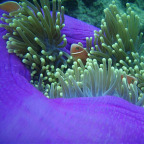 EXPLORE UNSPOILED SITES