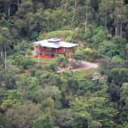 Cape Tribulation Sanctuary
