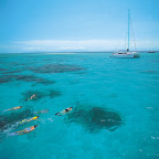 SHALLOW REEF