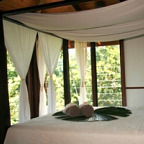 DAINTREE ROOM