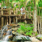 DESIGNED AROUND THE NATURAL CANOPY OF RAINFOREST