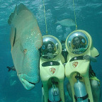 GLIDE BENEATH THE SEA