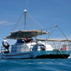 PRIVATE SEMI-SUB TOUR